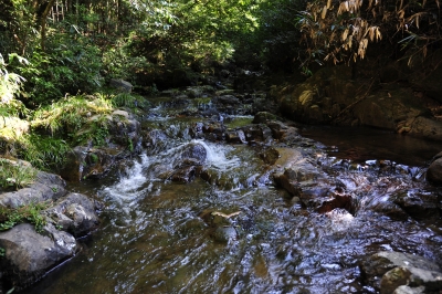 DSC_0403.JPG
