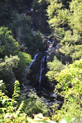 DSC_0437.JPG