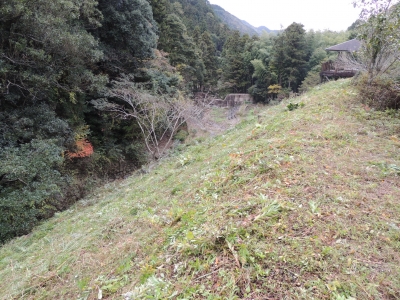 DSCN4454.JPG