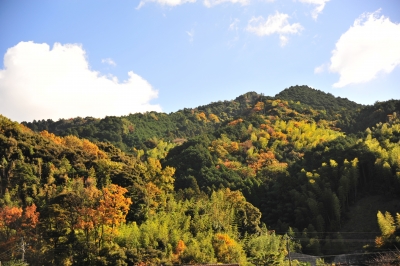 DSC_1955.JPG