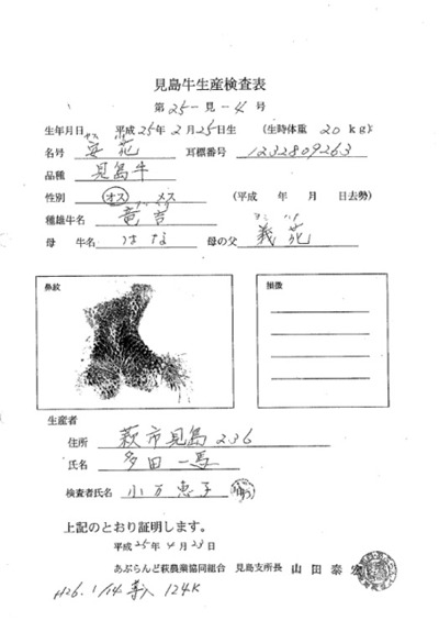 2014見島牛B.jpg
