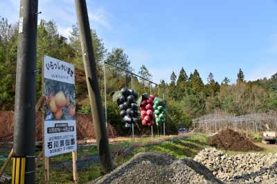 DSC_8128.JPG