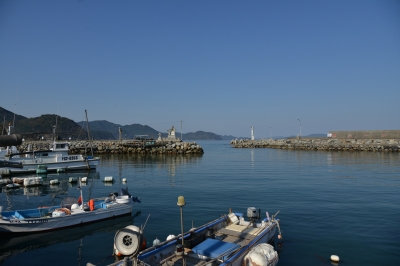 DSC_8262.JPG