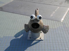 ムツゴロウ噴水