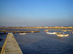 大野島の桟橋。