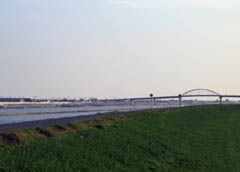 大野島から新田大橋を望む。