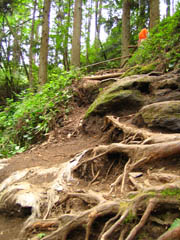 鍋ヶ滝の険しい道