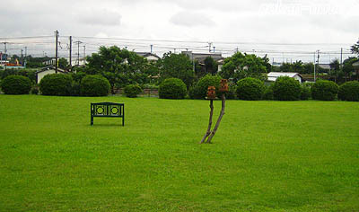 芝生