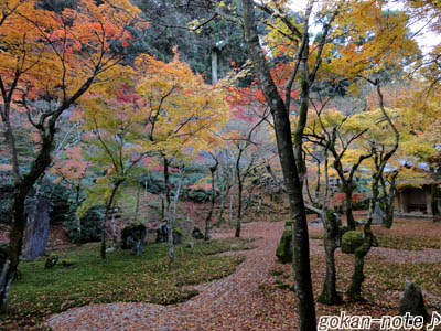 光明禅寺-3