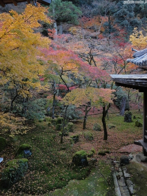 光明禅寺-4