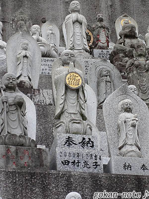 田村亮子.jpg