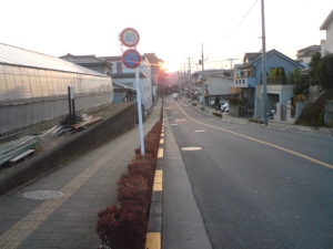 ぢがれだ