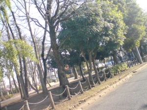 おひるだよ〜