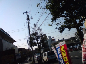 さて、どこに行こうか