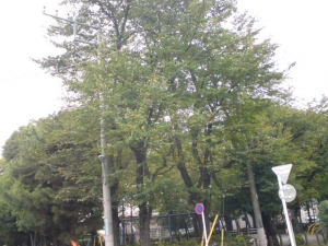 さむいぜ