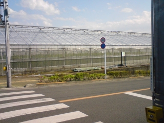 よいてんき