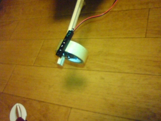 たからもの