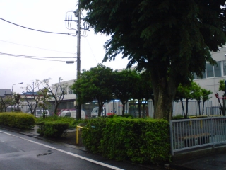 さむめ