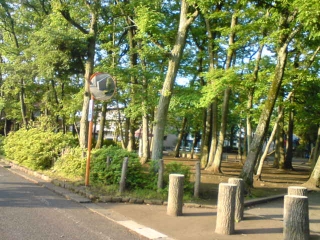 かがみ
