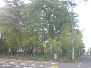 どよどよ