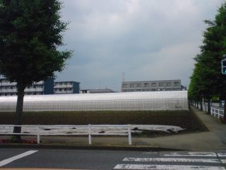 くもく
