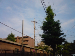 帰るお