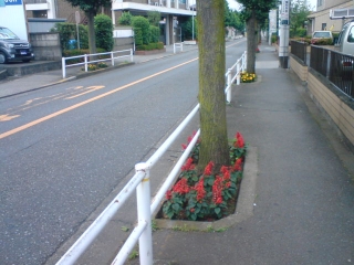 消防署の近くにて