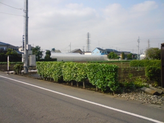 ごはん