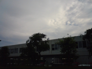 わずかに青空