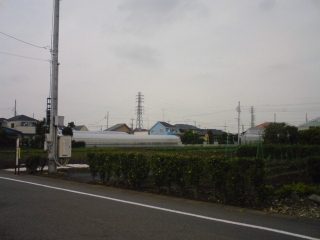 日光はたまに出てる