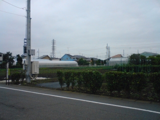 ごはん…