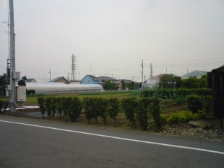 すずしー