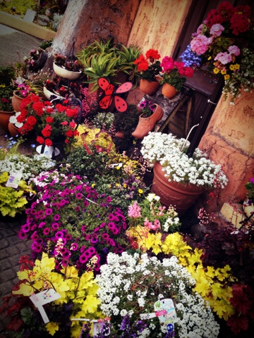 image04.jpg