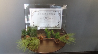 2013藍絹pop