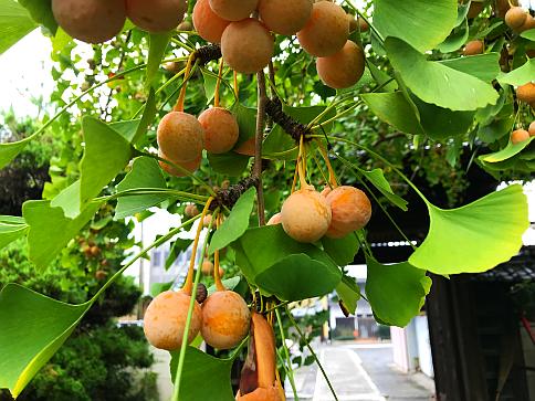 20171009_006.jpg