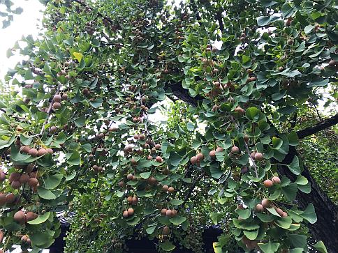 20171009_005.jpg