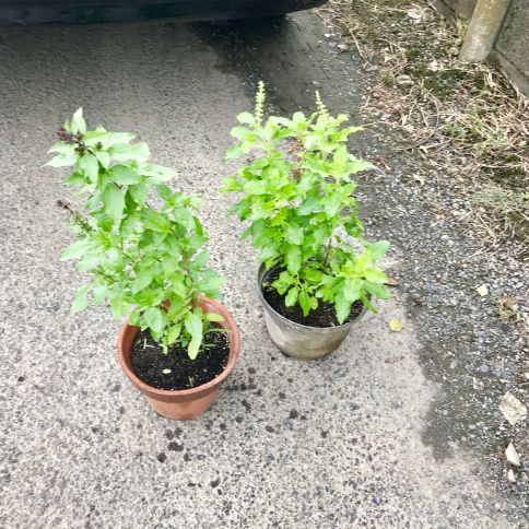 写真 2019-08-21 17 09 26.jpg
