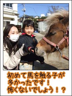 怖くないでしょ!