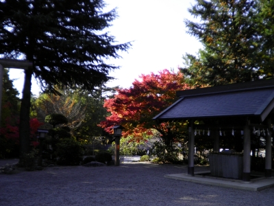 SANY0086.JPG