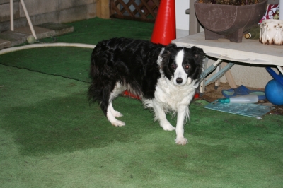IMG_3795.JPG