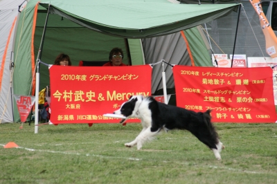 IMG_4295.JPG