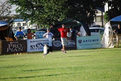 DSC_0125-1.jpg