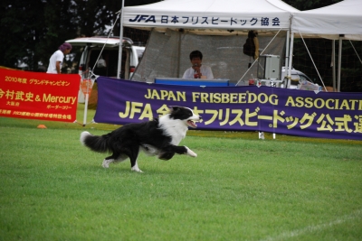 DSC_0324-1.jpg