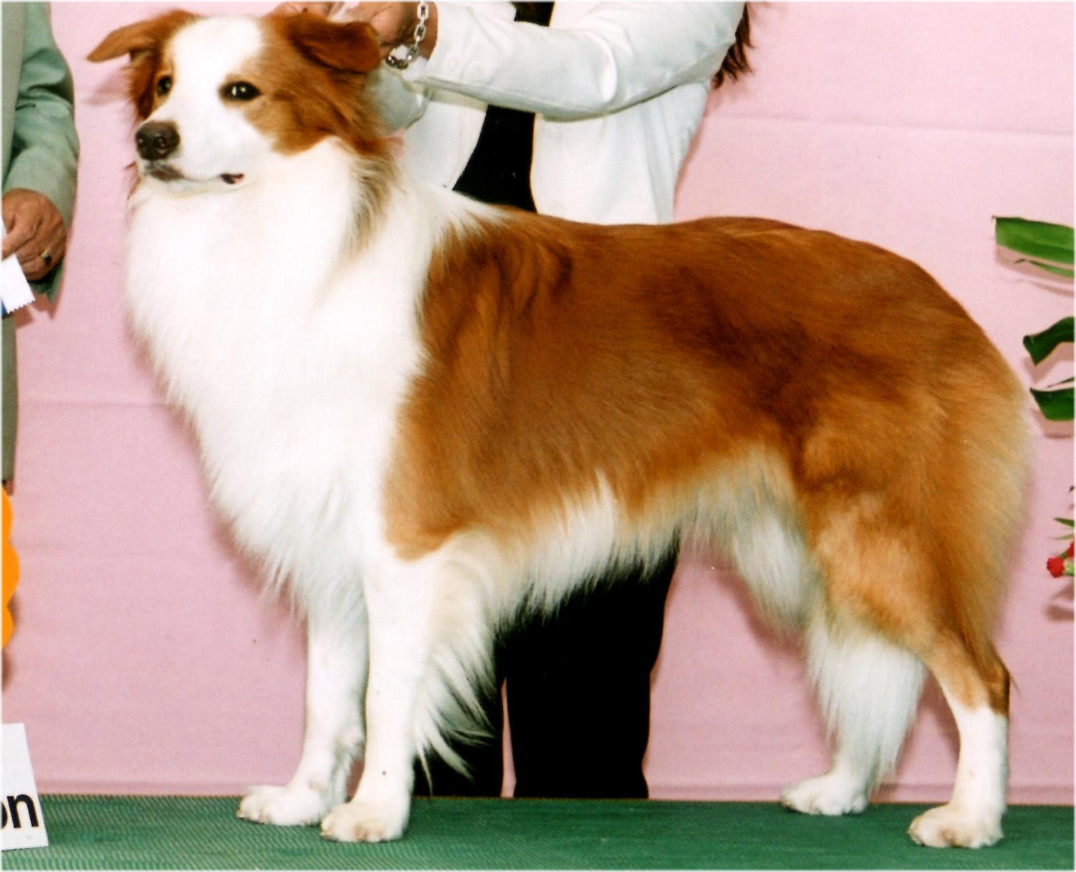 img007.jpg