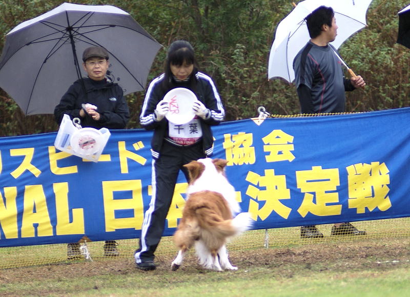 DSC07491-12.jpg