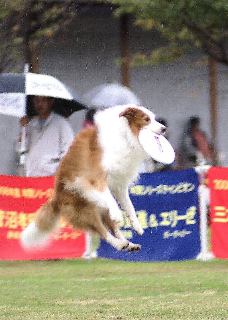 DSC07508-12.jpg