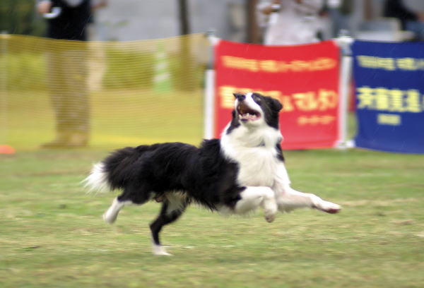 DSC07527-21.jpg