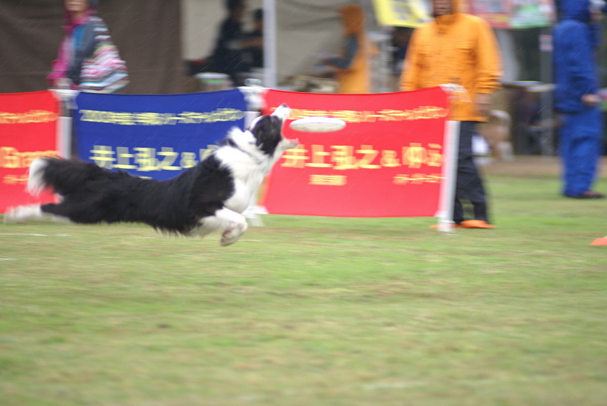 DSC07538-12.jpg