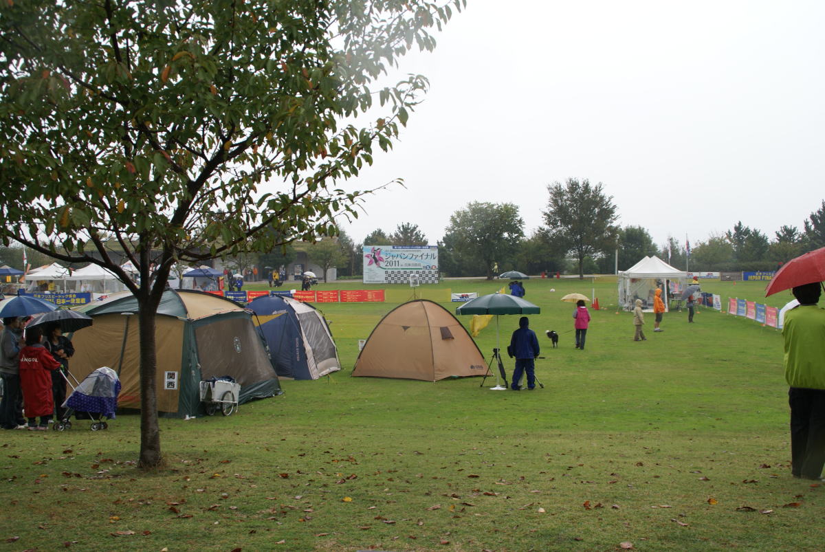 DSC07639-1.jpg