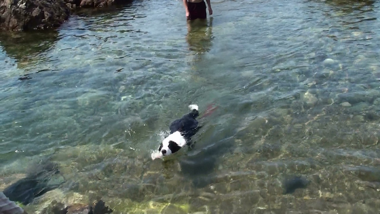 ?20110809133215_福井県.jpg